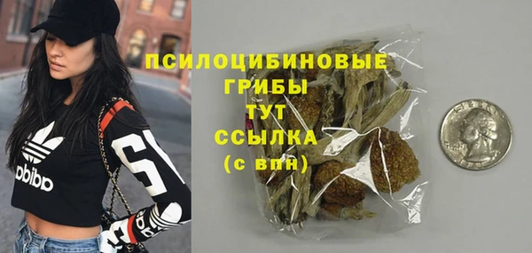 шишки Нягань