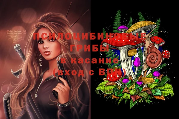 ГАЛЛЮЦИНОГЕННЫЕ ГРИБЫ Новодвинск