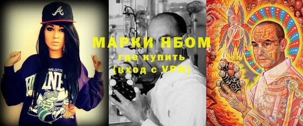 шишки Нягань