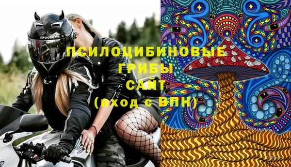 шишки Нягань