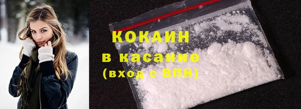шишки Нягань